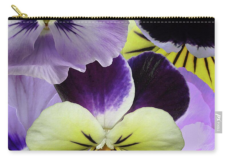 Flowers Zip Pouch featuring the digital art Pansy Patch by M Spadecaller
