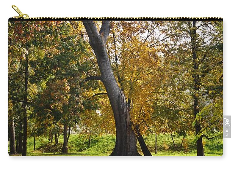 Trees Zip Pouch featuring the photograph Parco Cavour. Ottobre 2016 #8 by Marco Cattaruzzi