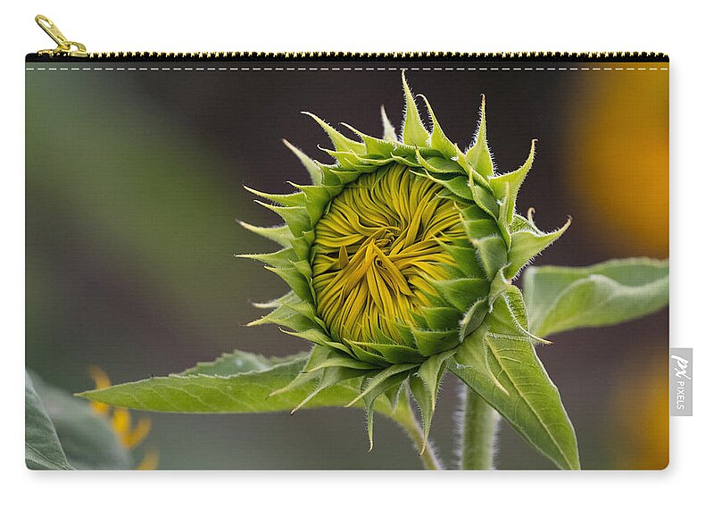 Flower Zip Pouch featuring the photograph Partly Sunny by Linda Bonaccorsi