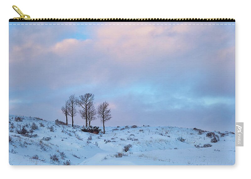 Winter Carry-all Pouch featuring the photograph Party Of Five by Denise Bush