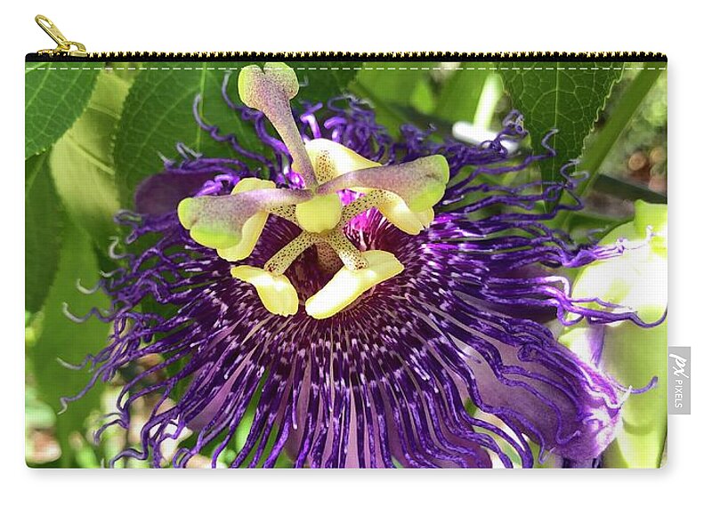 Passions Flower Zip Pouch featuring the photograph Passiflora by Flavia Westerwelle