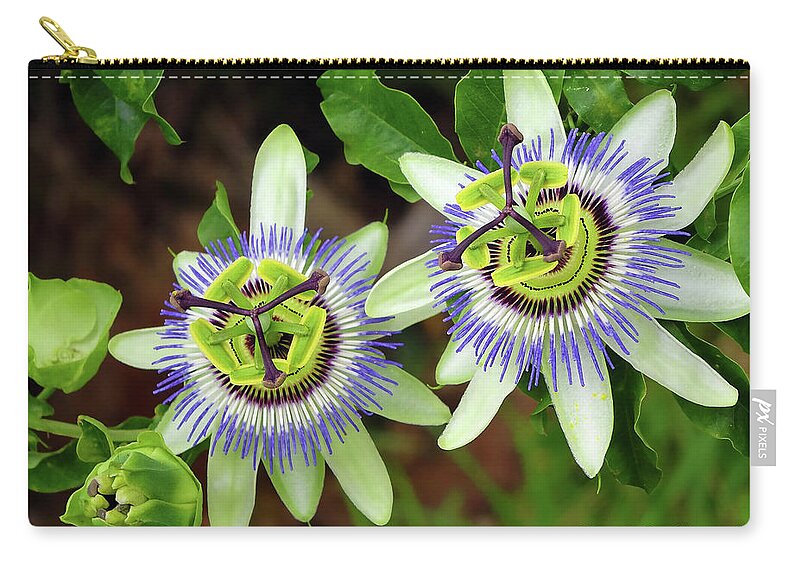 Passion Flowers Carry-all Pouch featuring the digital art Passion Flowers 09921 by Kevin Chippindall