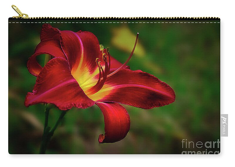 Flower Zip Pouch featuring the photograph Passion for Red Daylily by Shelia Hunt