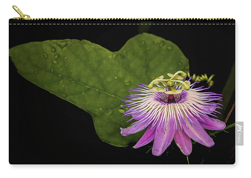 Flower Zip Pouch featuring the photograph Passionflower and Leaf by Don Durfee