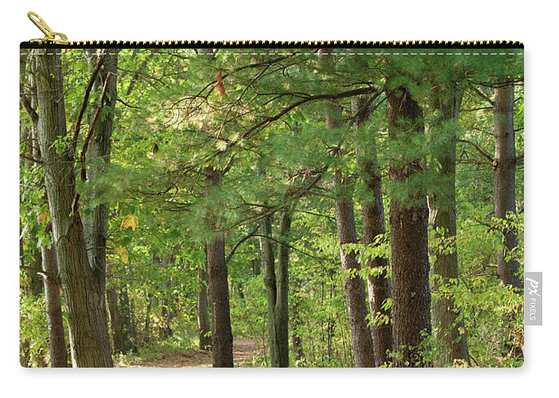 Forest Zip Pouch featuring the photograph Path in the Woods by Rich S