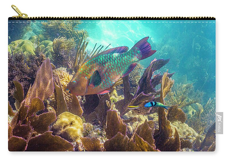 Animals Carry-all Pouch featuring the photograph Path to Atlantis by Lynne Browne