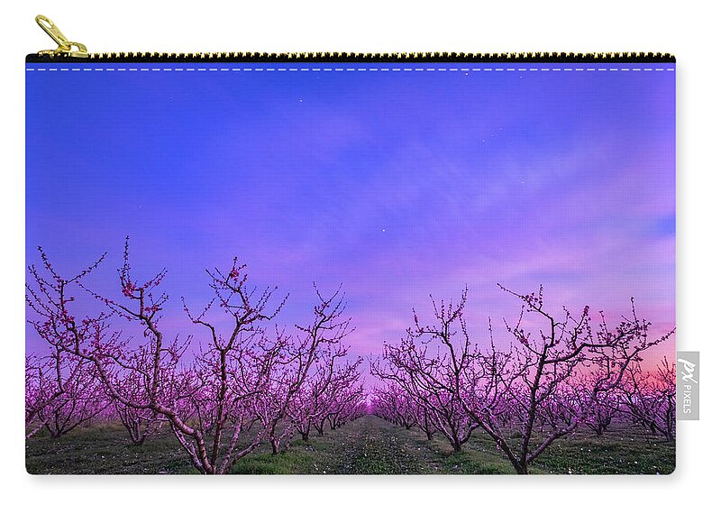 Peach Tree Zip Pouch featuring the photograph Peach Trees in Blossom at Blue Hour by Alexios Ntounas
