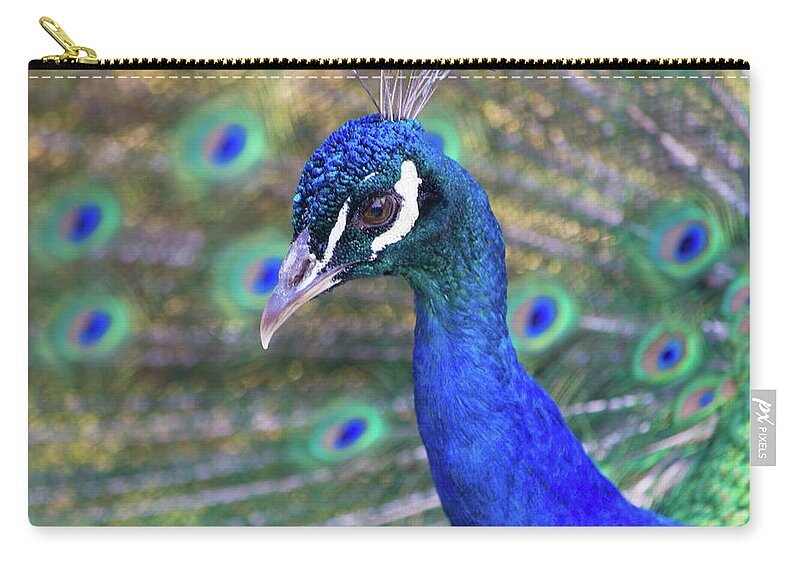 Peacock Carry-all Pouch featuring the photograph Peacock 2 by Deborah M