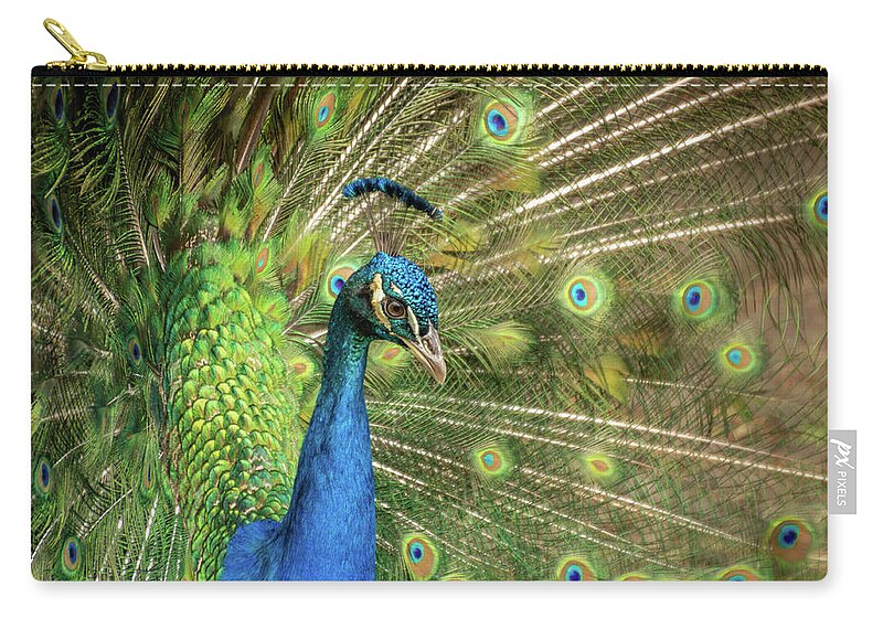 Peacock Zip Pouch featuring the photograph Peacock 4 by Cindy Robinson