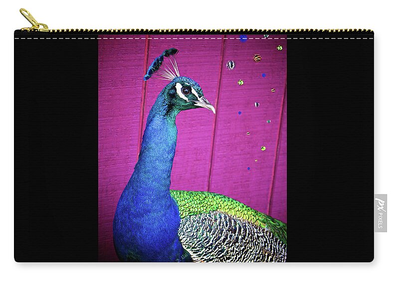 Peacock Zip Pouch featuring the photograph Peacock Cool by Felicia Roth