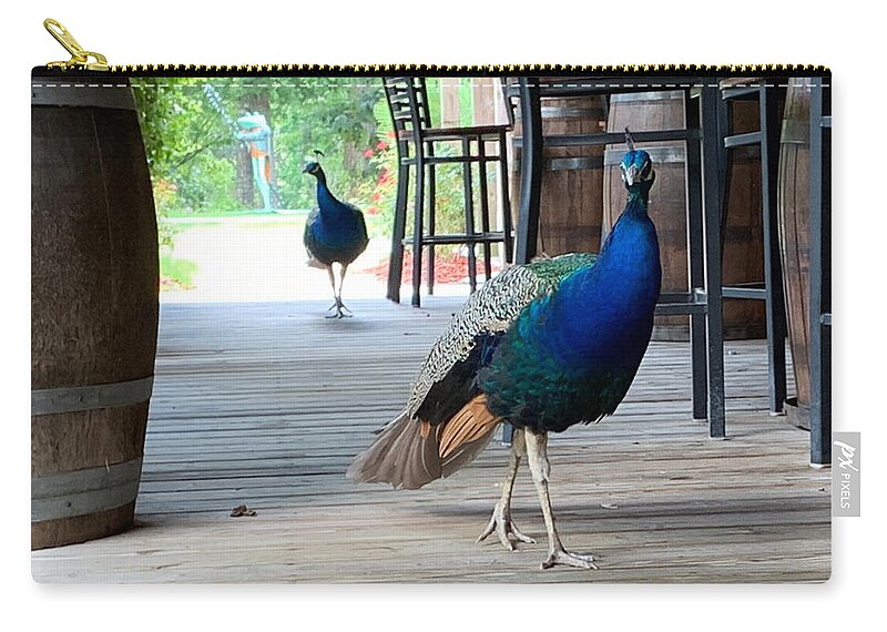 Nc Zip Pouch featuring the photograph Peacock Patrol by Lee Darnell