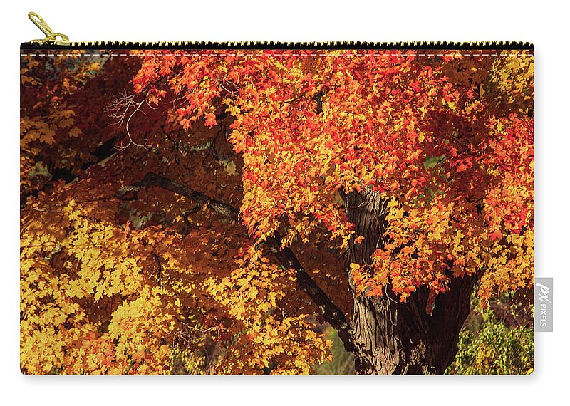 Autumn Zip Pouch featuring the photograph Peak Foliage Central MA by Michael Saunders
