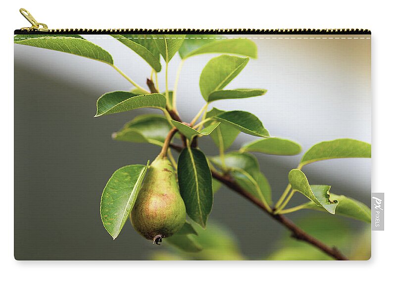 Tree Zip Pouch featuring the photograph Pear Tree by Amelia Pearn