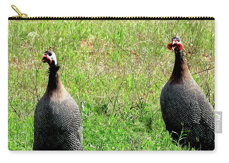 Pearl Guinea Keets Zip Pouch featuring the photograph Pearl Guinea Keets by Amy Hosp