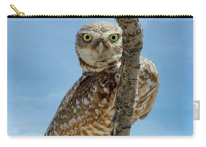 Peeking Owl Zip Pouch featuring the photograph Peeking Owl by Wes and Dotty Weber