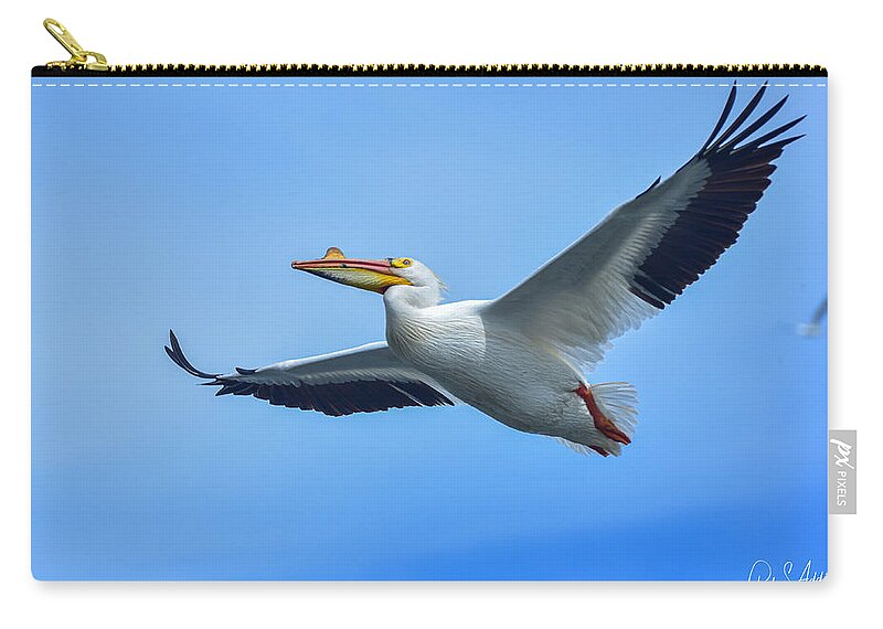 Great American Pelican Zip Pouch featuring the photograph Pelican Glide by Phil S Addis