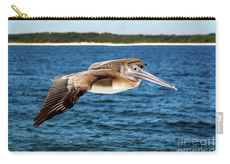 Pelican Zip Pouch featuring the photograph Pelican In Flight by Beachtown Views