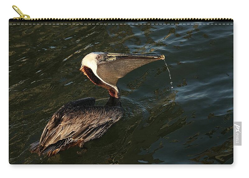 Pelicans Zip Pouch featuring the photograph Artsy Pelican by Mingming Jiang