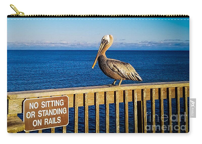 No Sitting Zip Pouch featuring the photograph Pelican, No Sitting or Standing on Rails by Beachtown Views