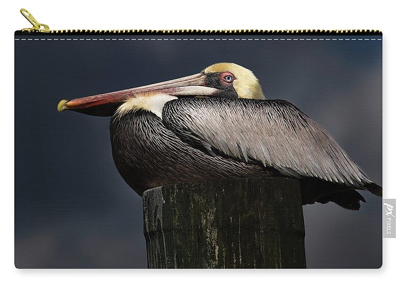 Birds Zip Pouch featuring the photograph Pelican on a Pole by Larry Marshall