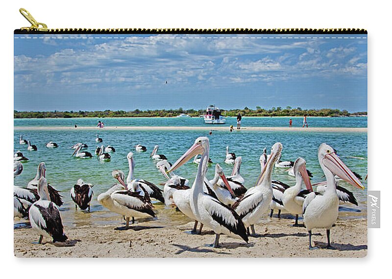 Australian Pelicans Zip Pouch featuring the photograph Pelican Party by Az Jackson