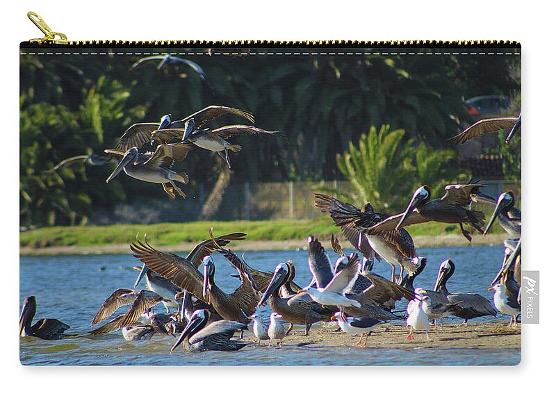 Bird Zip Pouch featuring the photograph Pelicans In Flight Over the Lagoon by Marcus Jones