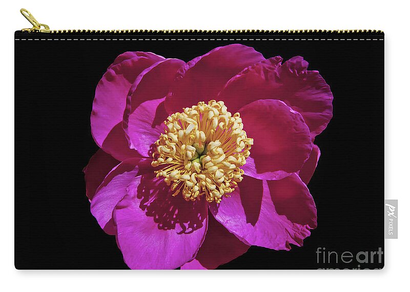 Peony Zip Pouch featuring the photograph Peony, 1 by Glenn Franco Simmons