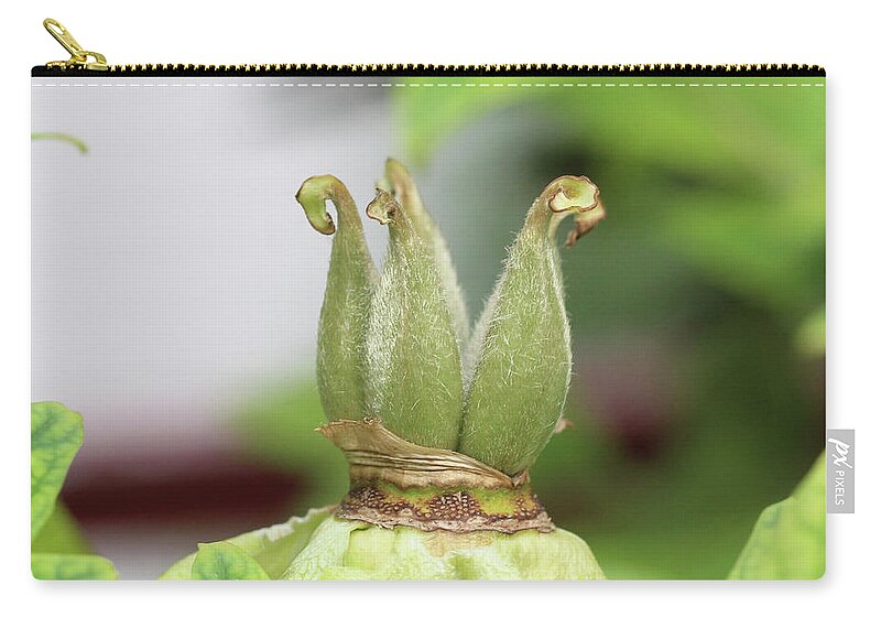 Flowers Zip Pouch featuring the photograph Peony Detail 2 by Patricia Youngquist