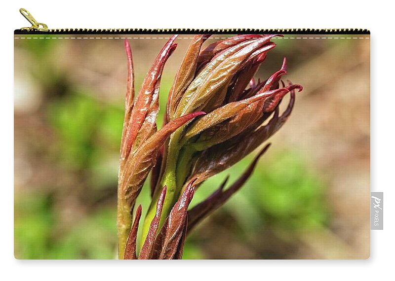 Flower Zip Pouch featuring the photograph Peony Sprouts 2 by Steven Ralser