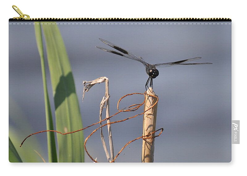 Black Carry-all Pouch featuring the photograph Perched by Stacy Abbott