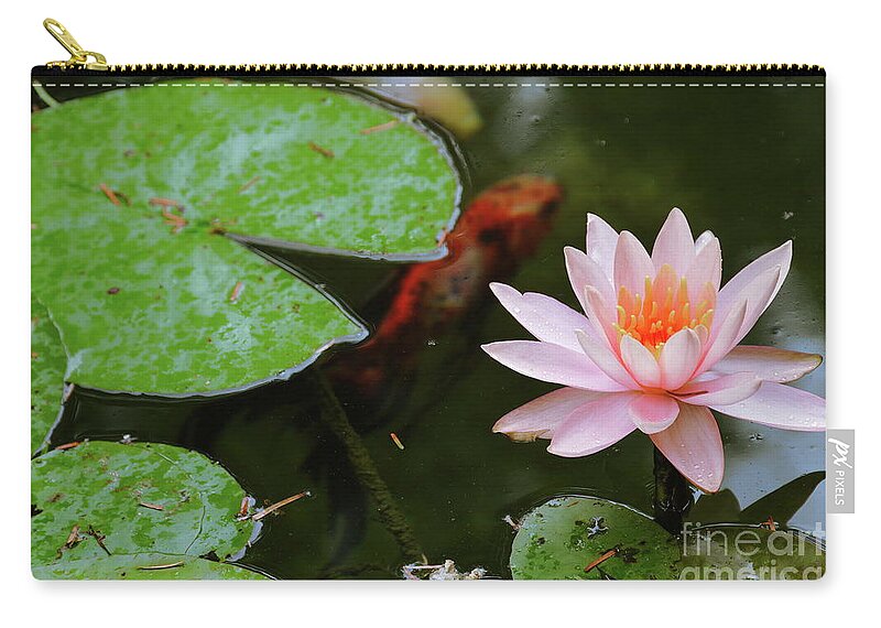 Water Zip Pouch featuring the photograph Perfect Beauty and Koi Companion by Diana Mary Sharpton