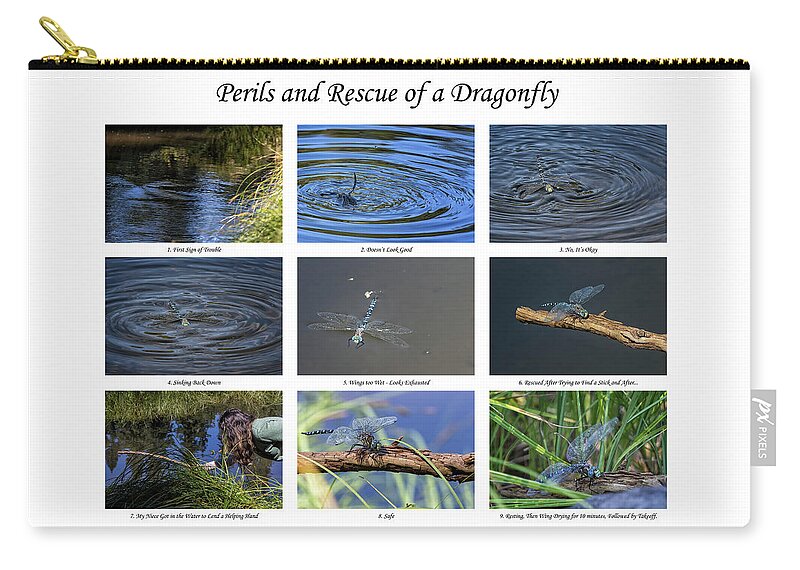 Blue-eyed Darner Zip Pouch featuring the photograph Perils and Rescue of a Dragonfly by Belinda Greb