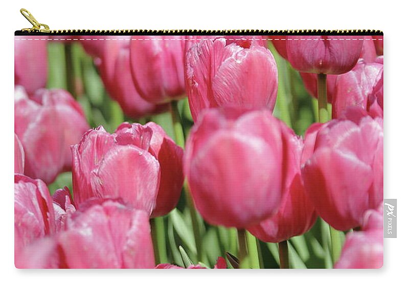 Nature Zip Pouch featuring the photograph Perplexing Pink by Lens Art Photography By Larry Trager