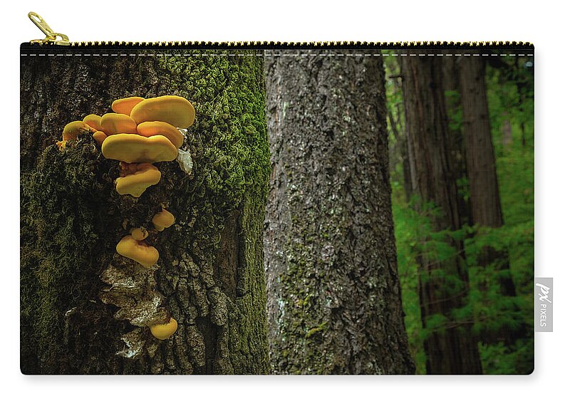 Tree Zip Pouch featuring the photograph Perspective by Ryan Workman Photography
