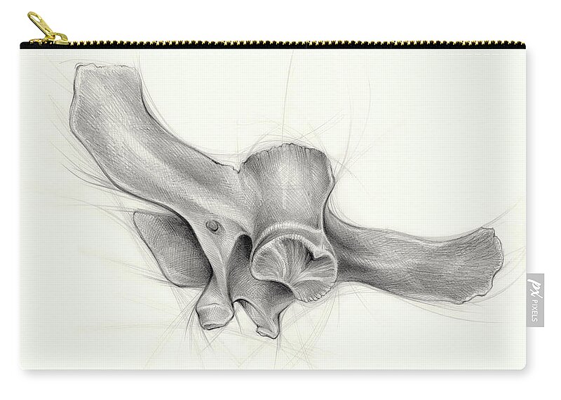 Pencil Zip Pouch featuring the drawing Perspectives I, pencil on paper by Adriana Mueller