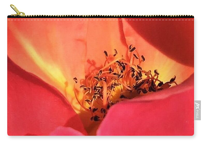 Rose Zip Pouch featuring the photograph Petals Aflame by Angela Davies