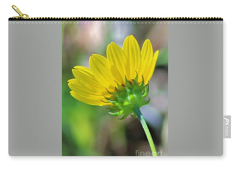 Flower Zip Pouch featuring the photograph Petals in Yellow by Joanne Carey