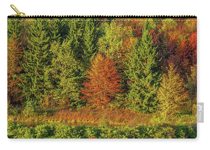 Autumn Carry-all Pouch featuring the photograph Philip's Autumn Trees by Don Nieman