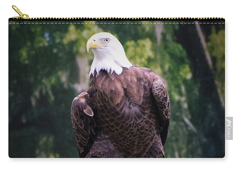 Eagle Zip Pouch featuring the photograph Photo 75 American Eagle by Lucie Dumas
