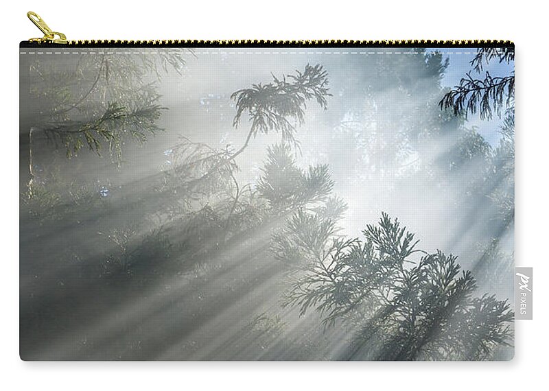 Photosynthesis Zip Pouch featuring the photograph Photosynthesis II by Olivier Parent