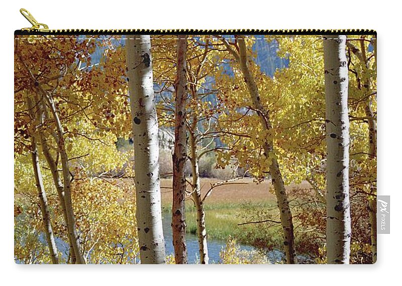 Picnic Zip Pouch featuring the photograph Picnic at Silver Lake, June Lake Loop, Eastern Sierra, California by Bonnie Colgan