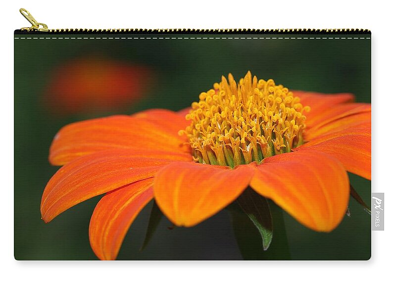 Mexican Sunflower Carry-all Pouch featuring the photograph Pie of Nectar by Mingming Jiang