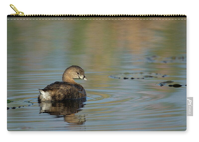 Florida Birds Zip Pouch featuring the photograph Pied-billed Grebe by Maresa Pryor-Luzier