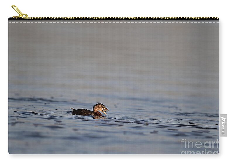 Pied-billed Grebe Zip Pouch featuring the photograph Pied-billed Grebe with a crab in the bill by Amazing Action Photo Video