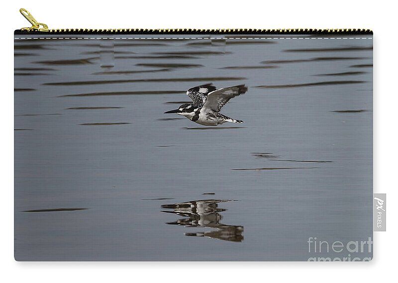 Pied Kingfisher Zip Pouch featuring the photograph Pied Kingfisher Fishing by Eva Lechner