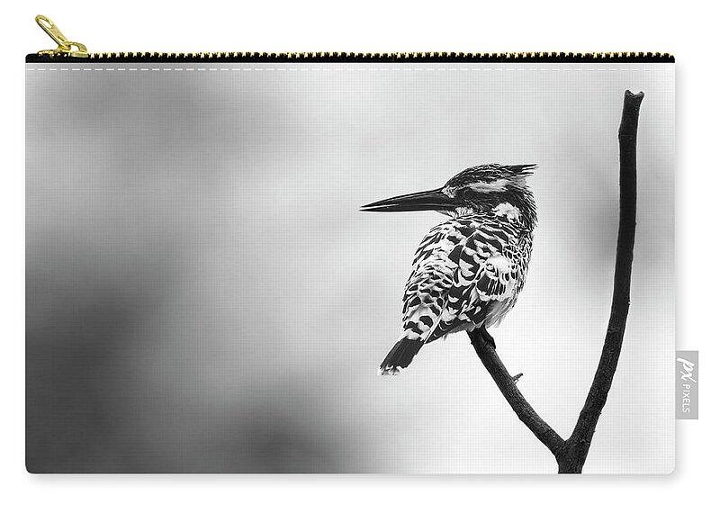 Pied Kingfisher Zip Pouch featuring the photograph Pied kingfisher by Puttaswamy Ravishankar