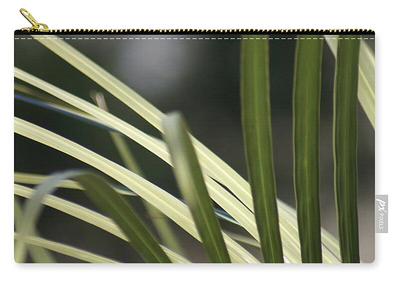  Zip Pouch featuring the photograph Pindo Palm Frond by Heather E Harman