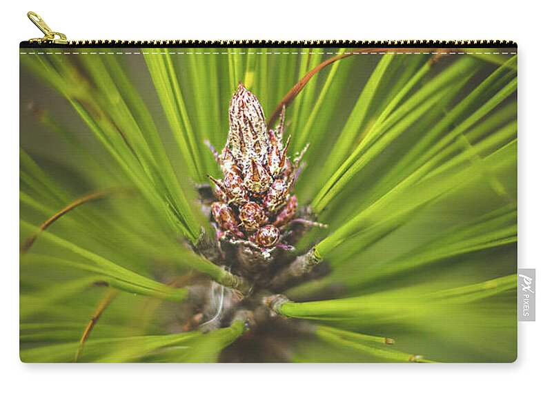 Cone Zip Pouch featuring the photograph Pine Cone Starburst by Rick Nelson