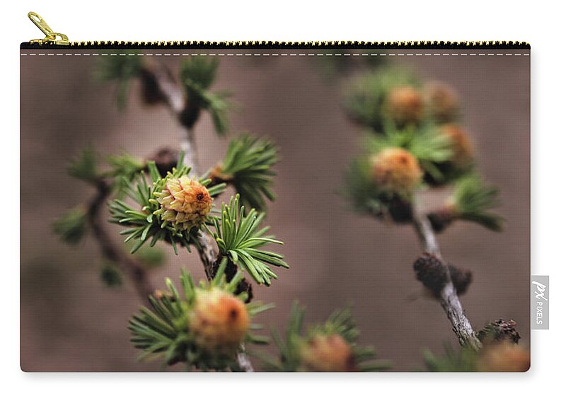 Tree Carry-all Pouch featuring the photograph Pine cones by M Fotograaf