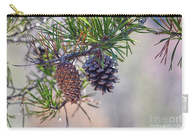 Nature Zip Pouch featuring the photograph Pine Cones by Phil Perkins